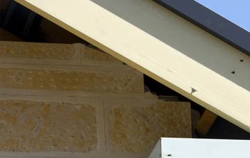 soffit repair Swarby