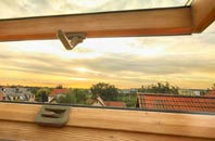 rated Swarby roof window companies